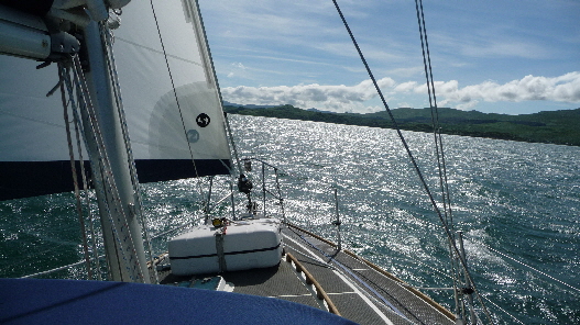 Sailing in the sunshine
