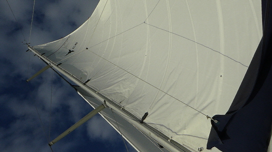 Sail