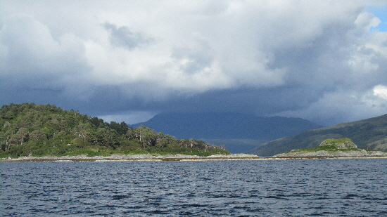 Approaching Salen